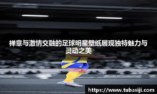 必一运动b-sports平台